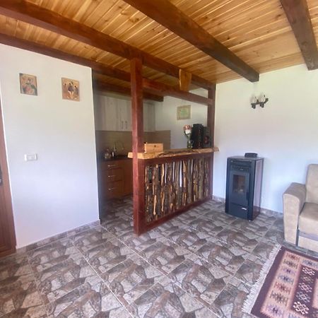 Casa Prundari Nicu Si Mirela Poiana Teiului Exterior foto
