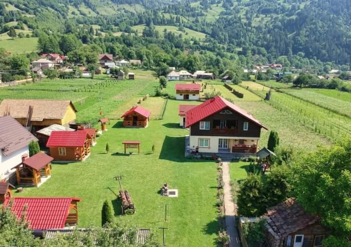 Casa Prundari Nicu Si Mirela Poiana Teiului Exterior foto