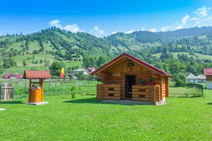 Casa Prundari Nicu Si Mirela Poiana Teiului Exterior foto