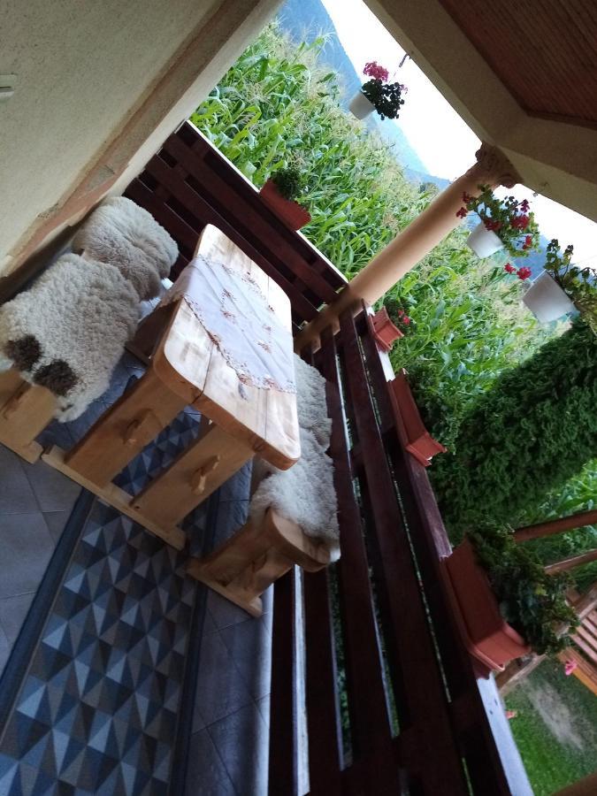 Casa Prundari Nicu Si Mirela Poiana Teiului Exterior foto