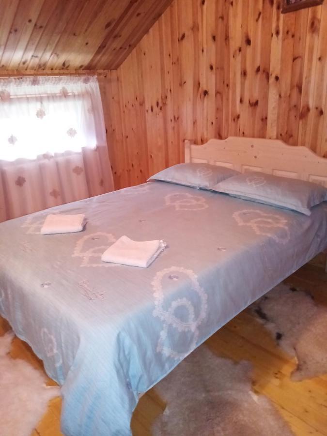 Casa Prundari Nicu Si Mirela Poiana Teiului Exterior foto
