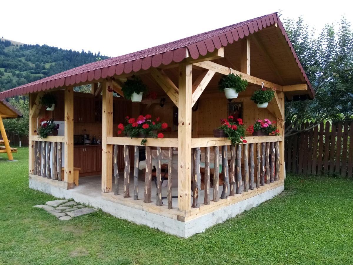 Casa Prundari Nicu Si Mirela Poiana Teiului Exterior foto