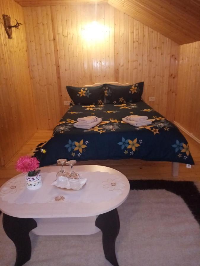 Casa Prundari Nicu Si Mirela Poiana Teiului Exterior foto