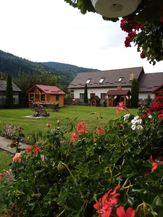 Casa Prundari Nicu Si Mirela Poiana Teiului Exterior foto