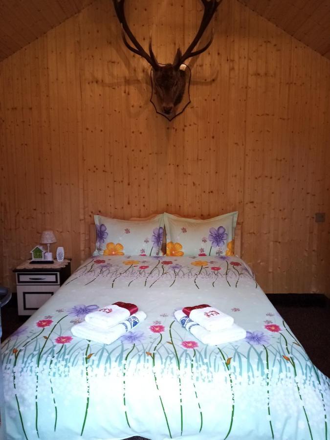Casa Prundari Nicu Si Mirela Poiana Teiului Exterior foto