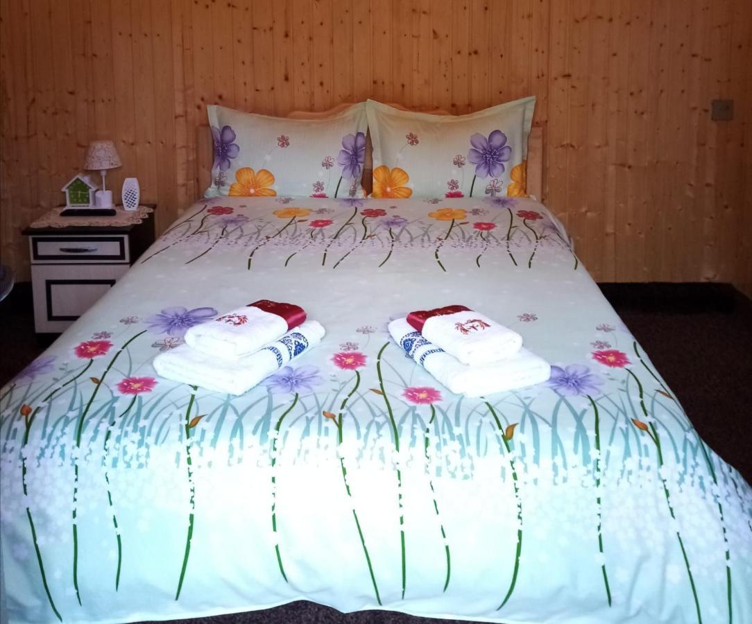 Casa Prundari Nicu Si Mirela Poiana Teiului Exterior foto