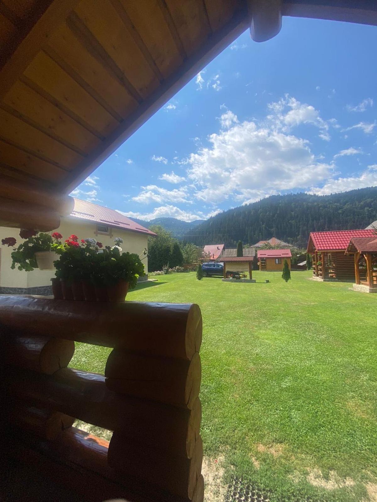 Casa Prundari Nicu Si Mirela Poiana Teiului Exterior foto