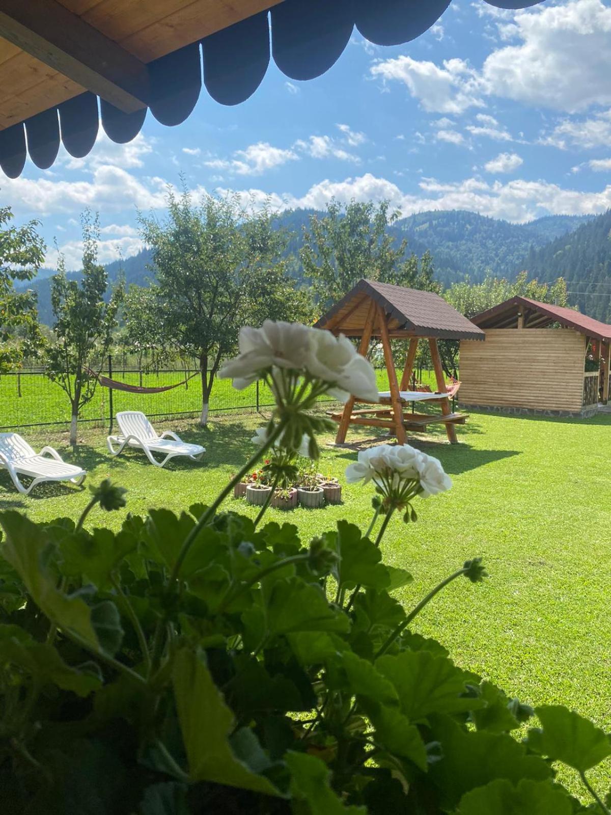 Casa Prundari Nicu Si Mirela Poiana Teiului Exterior foto